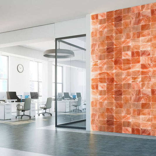 Himalayan Salt Wall Panels for Saunas Without or With Lights