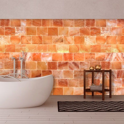 Himalayan salt wall panels installed in a sauna