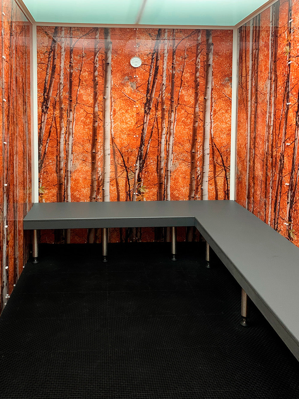 Scandia advanced hybrid steam room