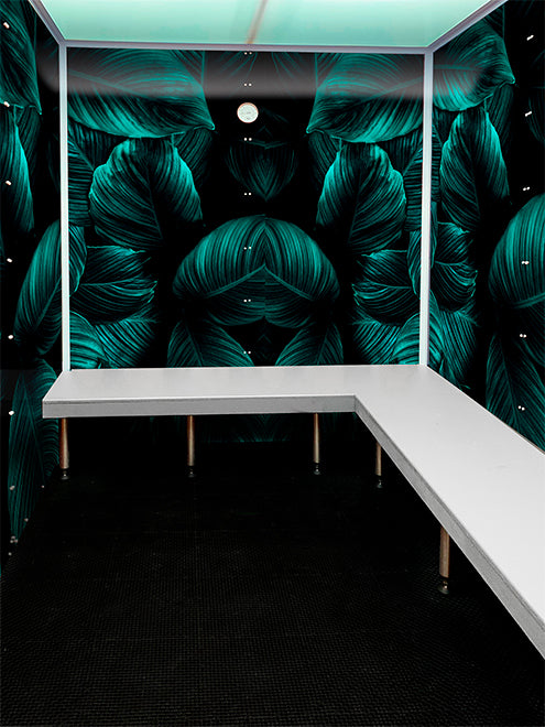 Scandia home steam room with forest scene wall print